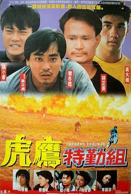 速度与爱情